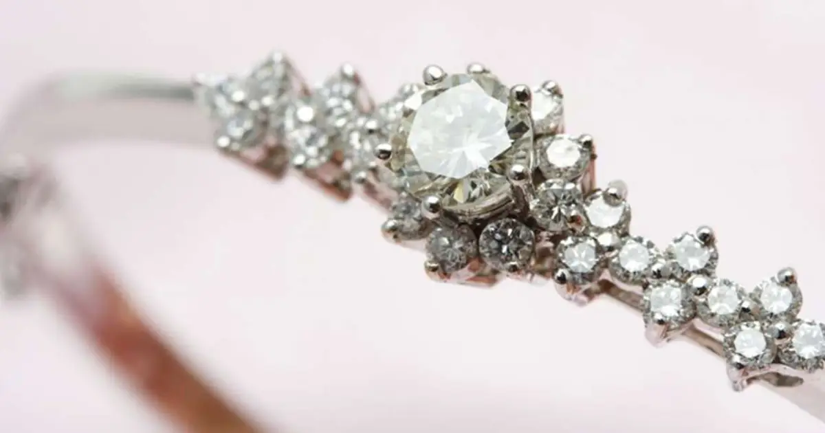 make the adventure tour with friends